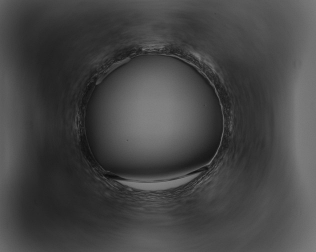 X0000095681445200801291147