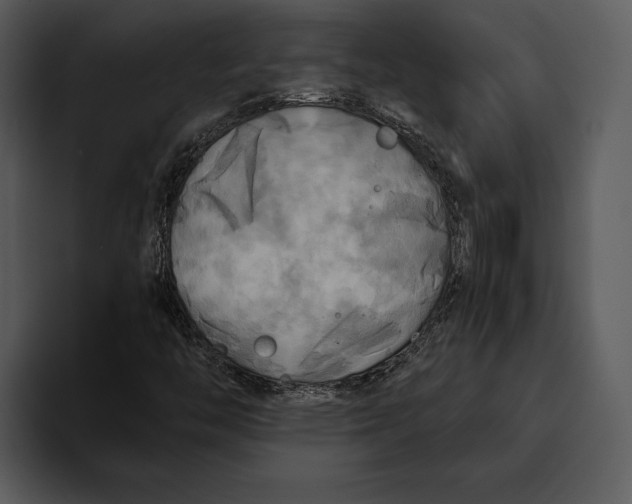 X0000095681446200801291147