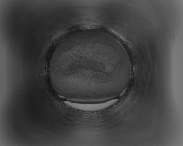 X0000095681447200801291147