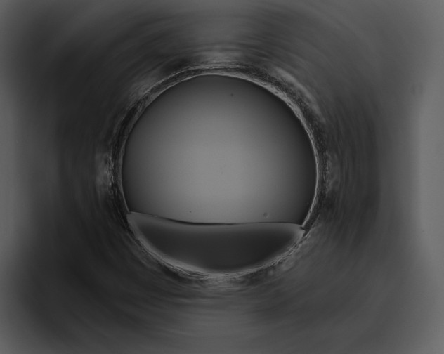 X0000095681449200801291147