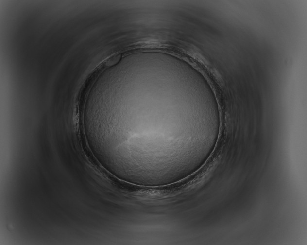 X0000095681450200801291147