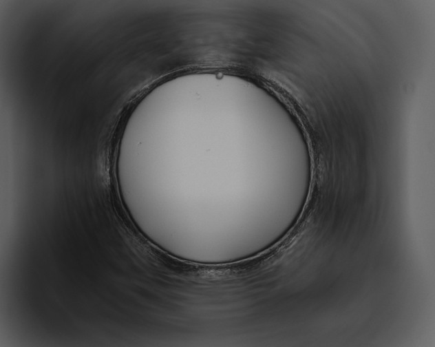 X0000095681451200801291147