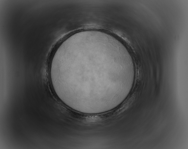 X0000095681454200801291147