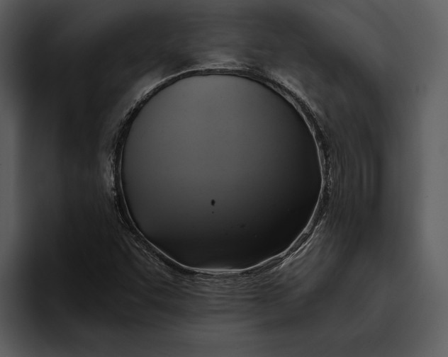 X0000095681455200801291147