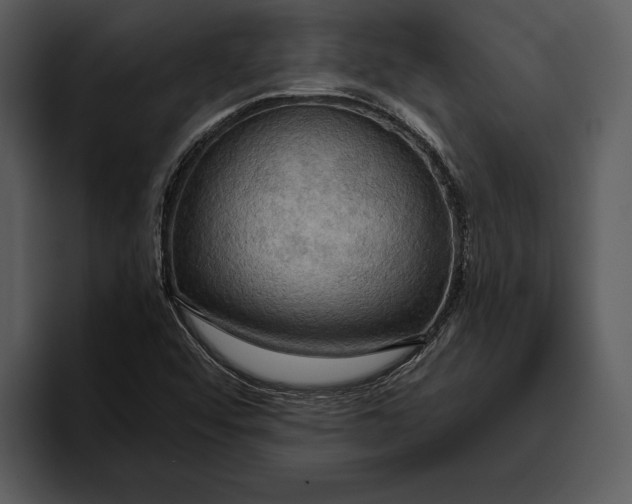 X0000095681456200801291147