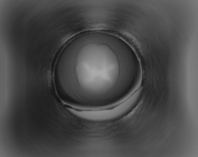 X0000095681457200801291147