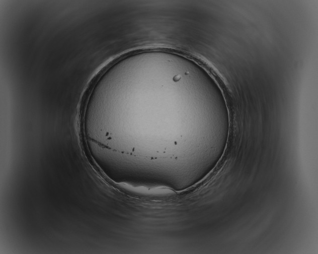 X0000095681460200801291147