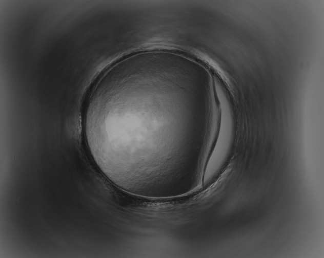 X0000095681461200801291147