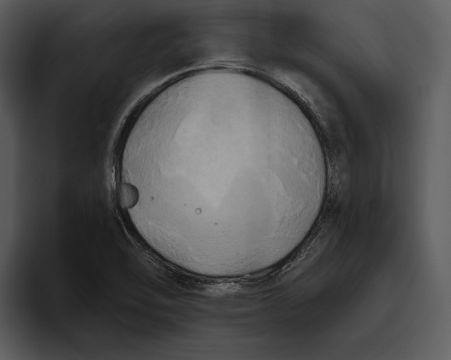 X0000095681462200801291147