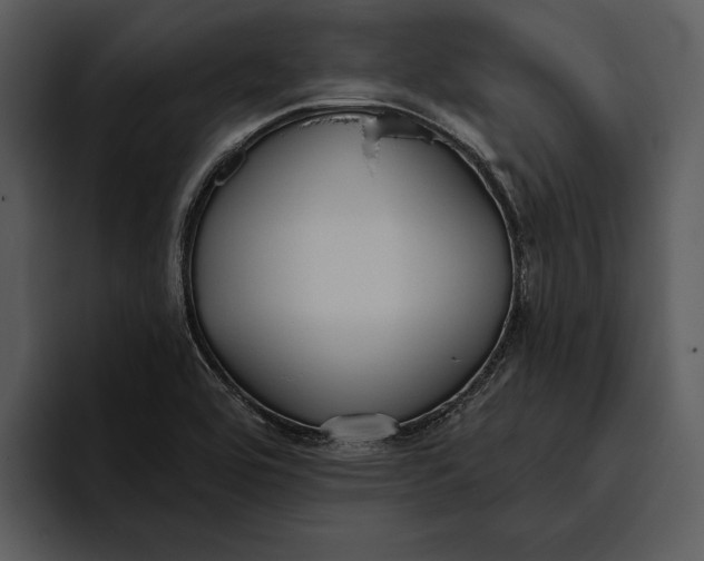 X0000095681464200801291147