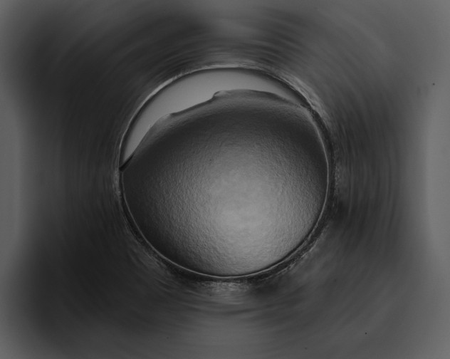 X0000095681465200801291147