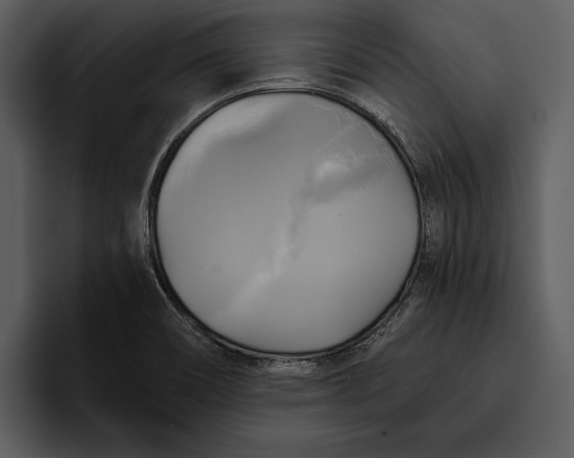 X0000095681466200801291147