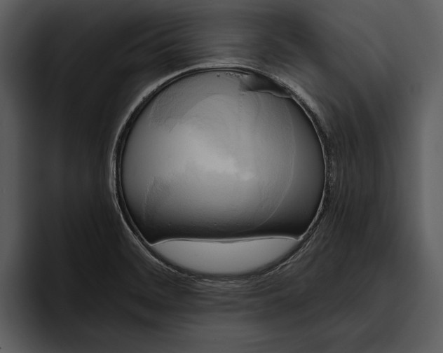 X0000095681468200801291147