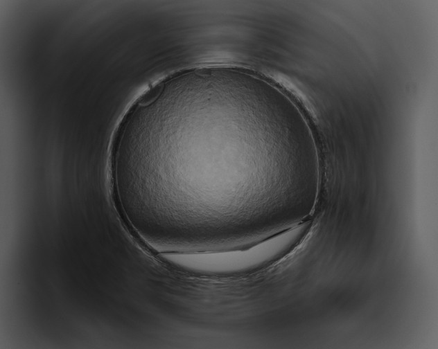 X0000095681469200801291147