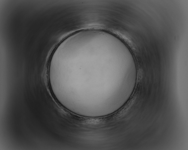 X0000095681470200801291147