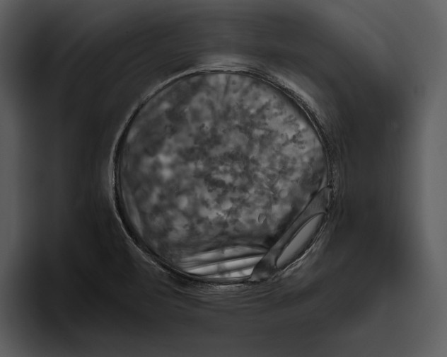 X0000095681471200801291147