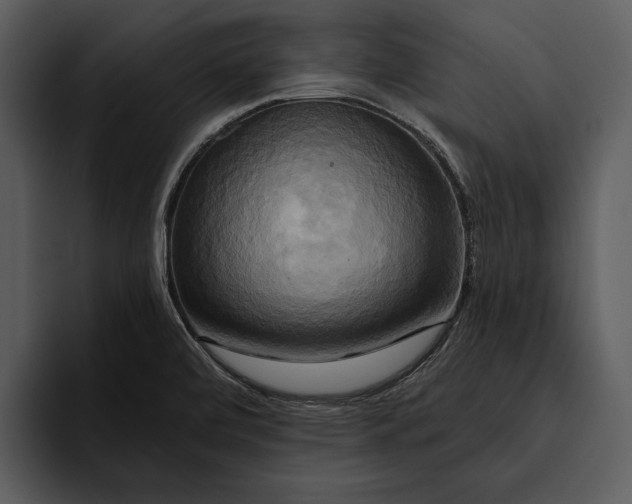 X0000095681472200801291147