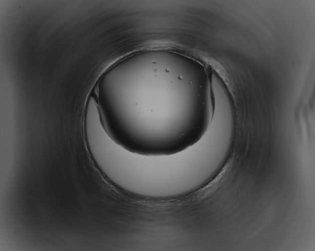 X0000095681473200801291147