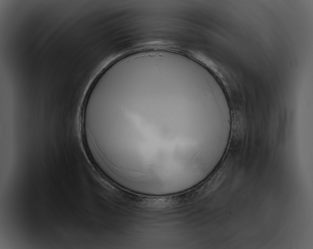 X0000095681474200801291147