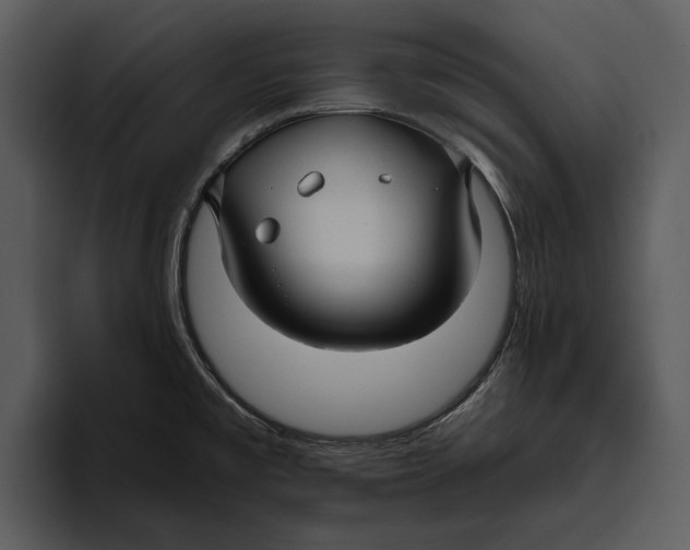 X0000095681477200801291147