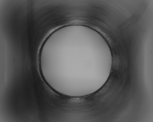 X0000095681478200801291147