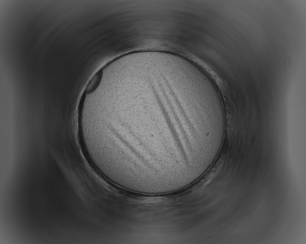 X0000095681479200801291147