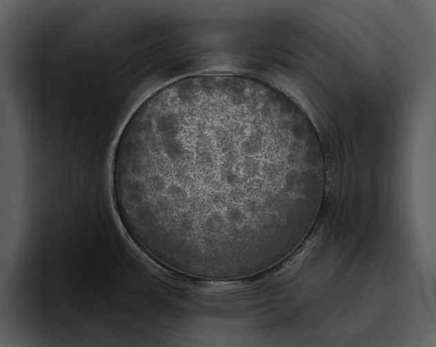 X0000095681483200801291147