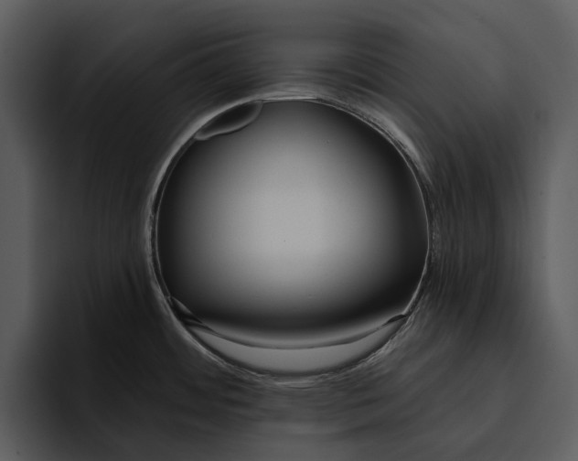 X0000095681484200801291147