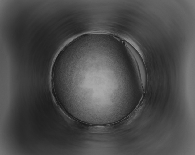 X0000095681485200801291147