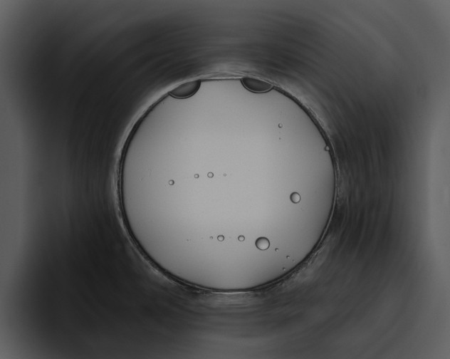 X0000095681486200801291147