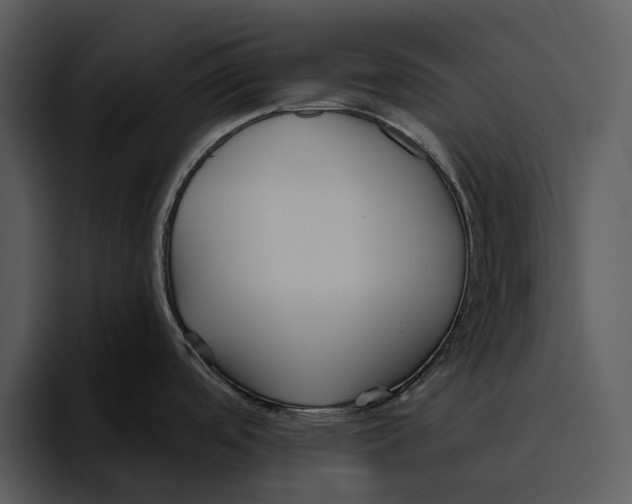 X0000095681488200801291147