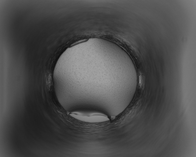 X0000095681492200801291146