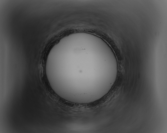 X0000095681493200801291146