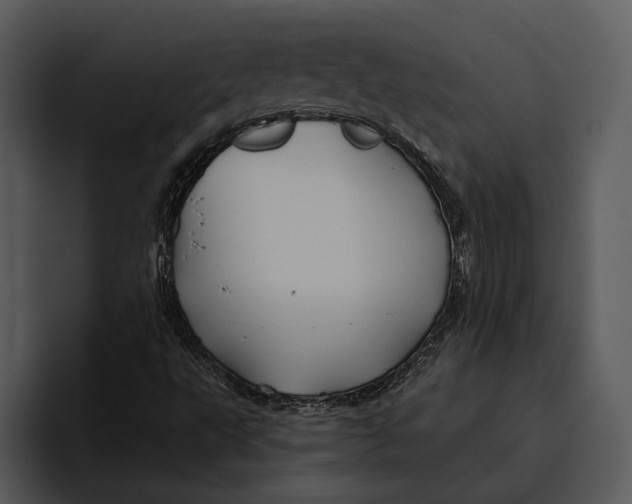 X0000095681495200801291146