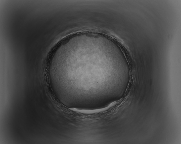 X0000095681496200801291146