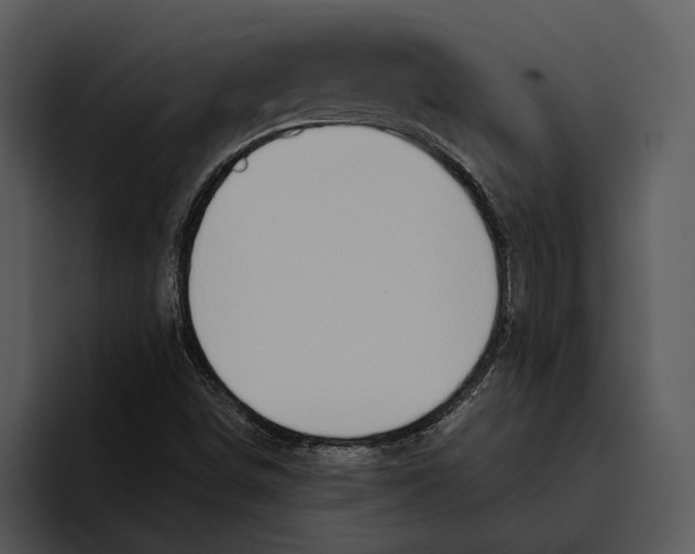 X0000095681498200801291146