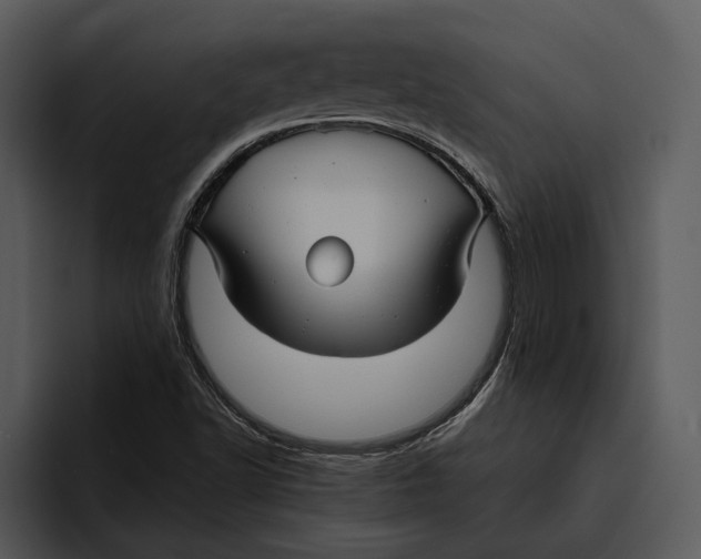 X0000095681502200801291146