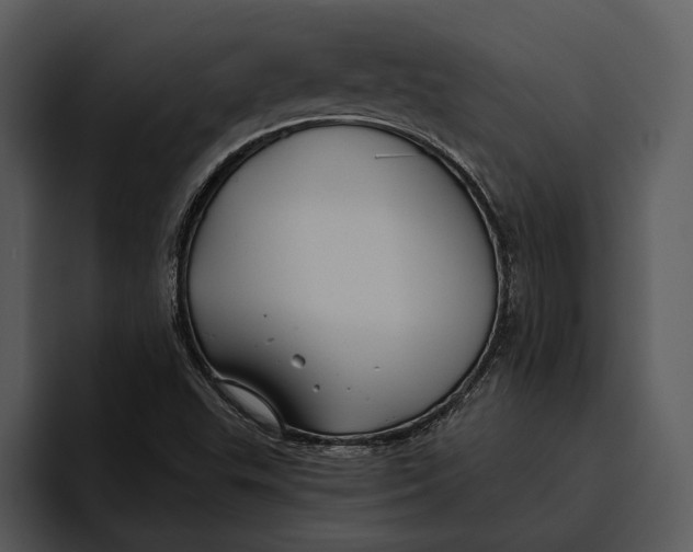 X0000095681503200801291146