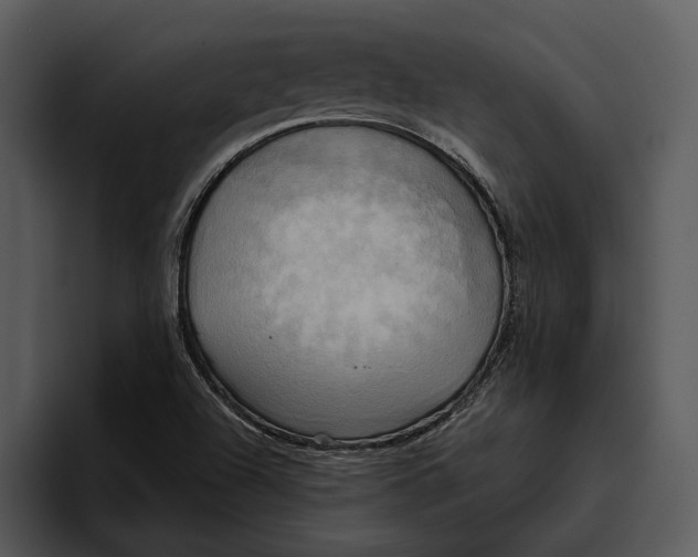 X0000095681504200801291146