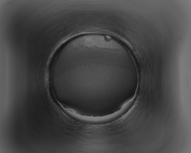 X0000095681506200801291146