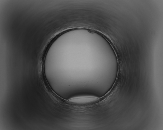 X0000095681507200801291146