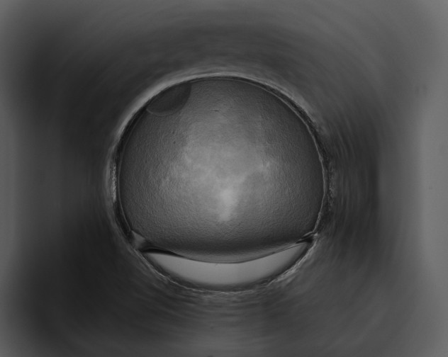 X0000095681510200801291146