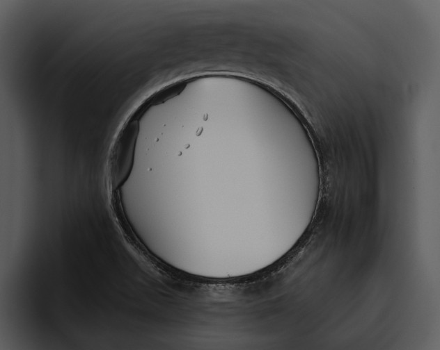 X0000095681511200801291146