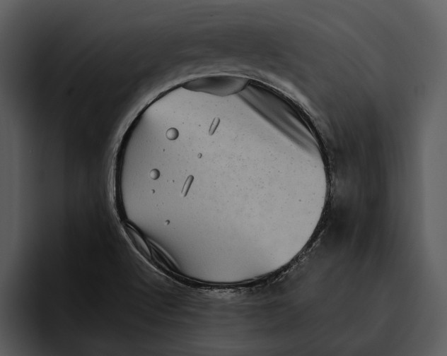 X0000095681512200801291146