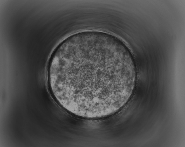 X0000095681514200801291146