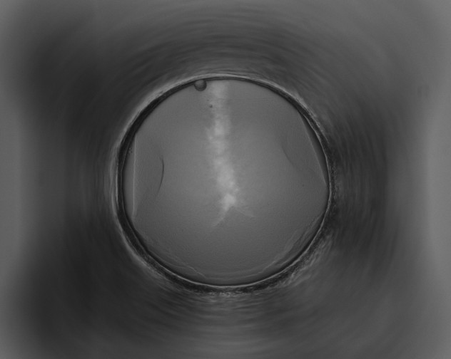 X0000095681515200801291146