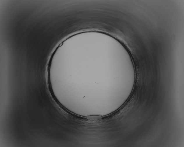 X0000095681516200801291146