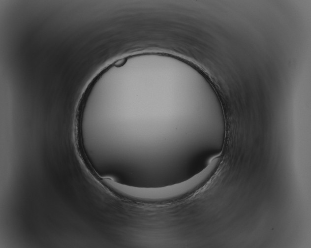 X0000095681518200801291146