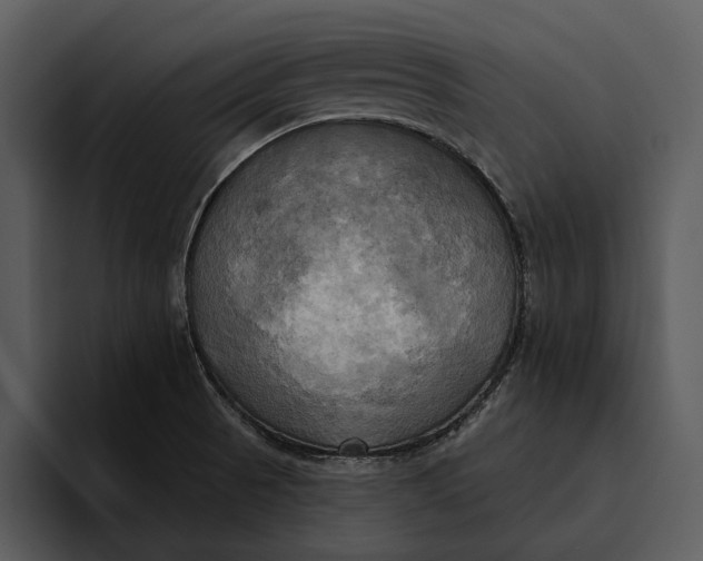 X0000095681521200801291146