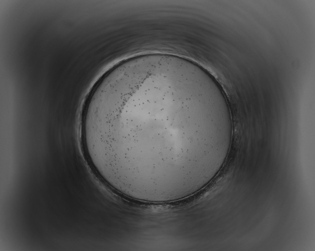 X0000095681523200801291147